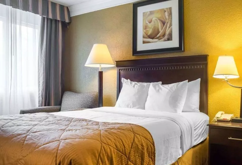 هتل Quality Inn And Suites Fairgrounds   Syracuse
