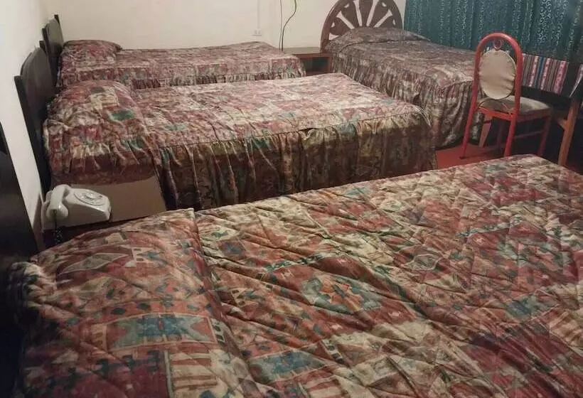 ホテル Embajador Puno