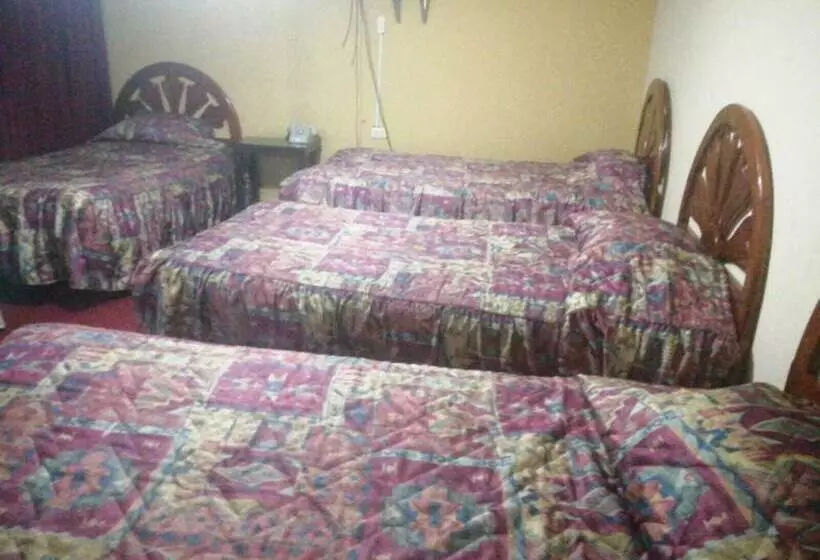 ホテル Embajador Puno