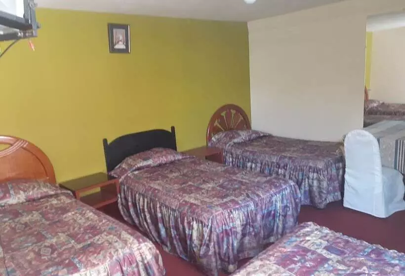 ホテル Embajador Puno