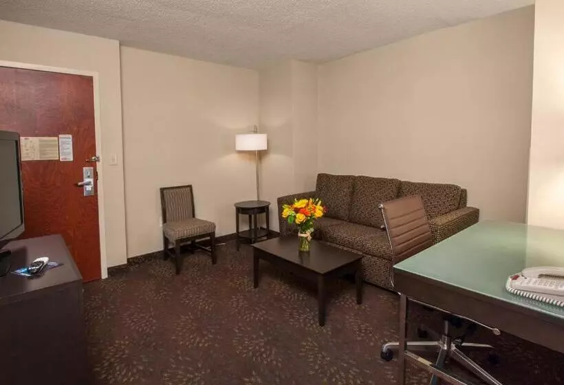 هتل Holiday Inn Express & Suites Buffalo Airport, An Ihg