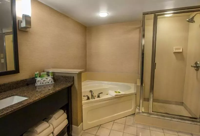 هتل Holiday Inn Express & Suites Buffalo Airport, An Ihg