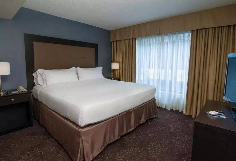 هتل Holiday Inn Express & Suites Buffalo Airport, An Ihg