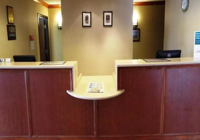 酒店 Oasis Inn And Suites Joshua Tree 29 Palms