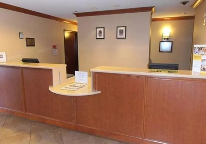 酒店 Oasis Inn And Suites Joshua Tree 29 Palms