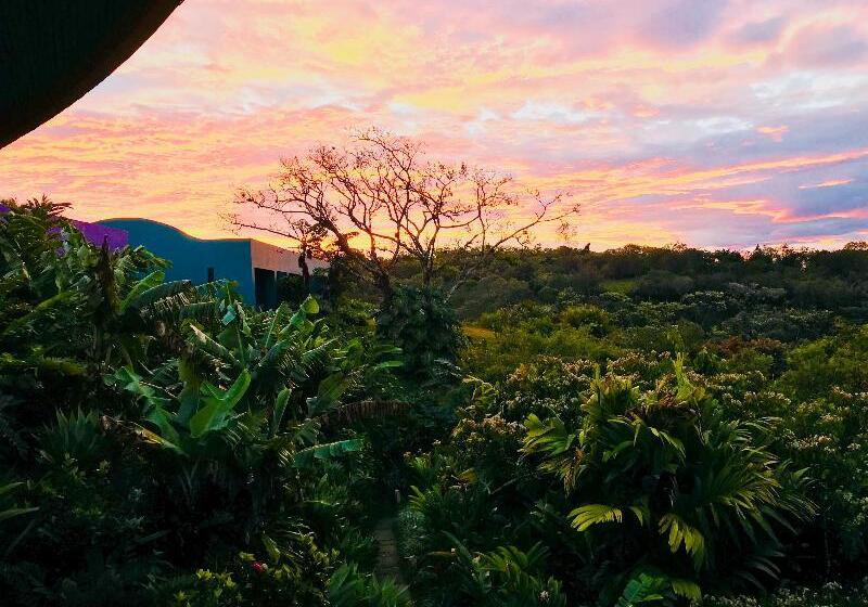 هتل Xandari Resort & Spa