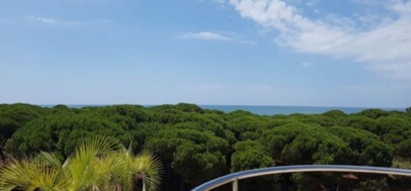 On Family Islantilla