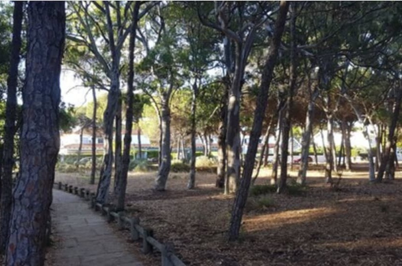 On Family Islantilla