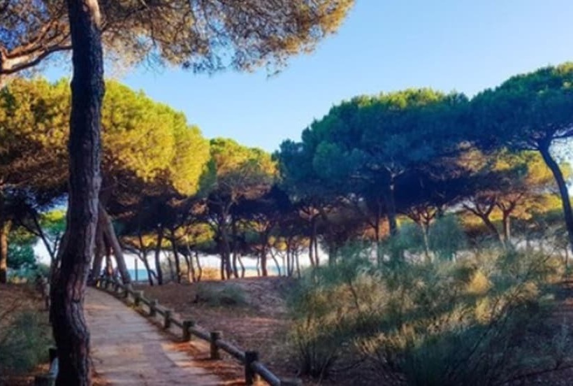 On Family Islantilla