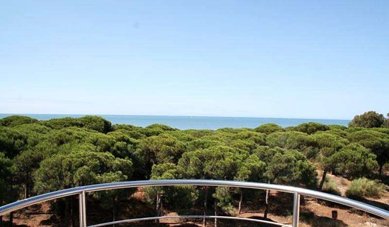 On Family Islantilla