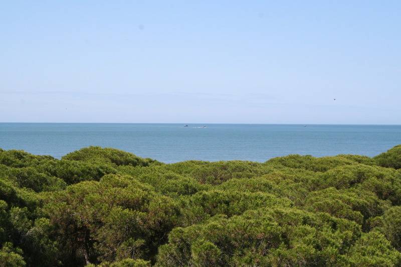 On Family Islantilla