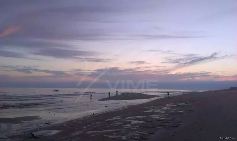 On Family Islantilla