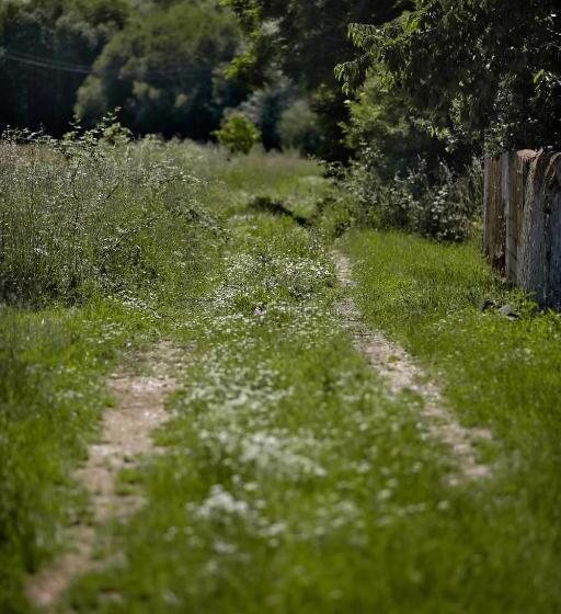 Señorío De Los Bazán
