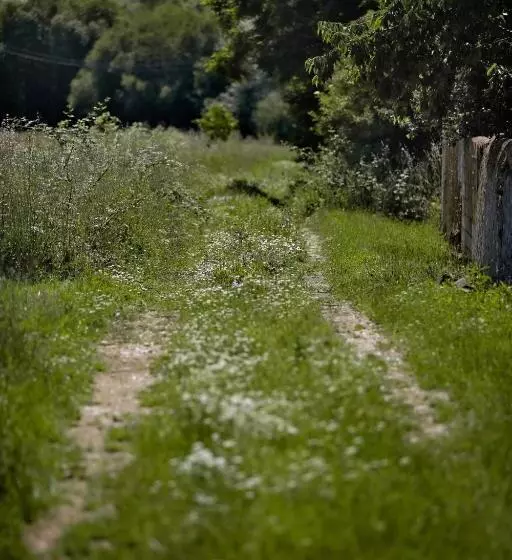 Señorío De Los Bazán