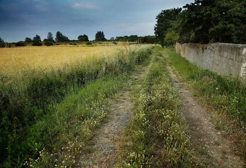 Señorío De Los Bazán