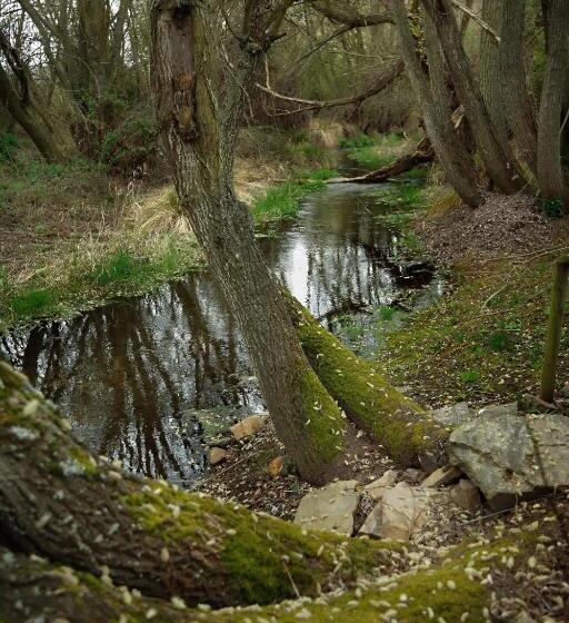 Señorío De Los Bazán