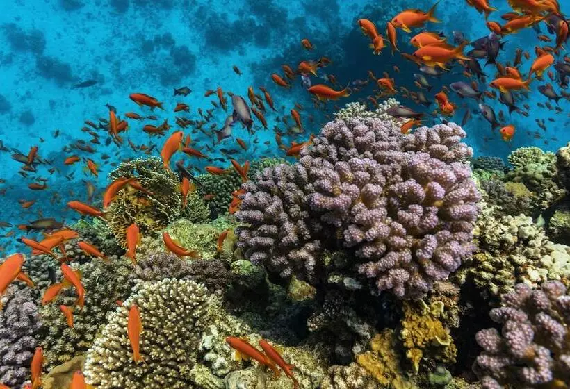 The Cascades Golf Resort, Spa & Thalasso