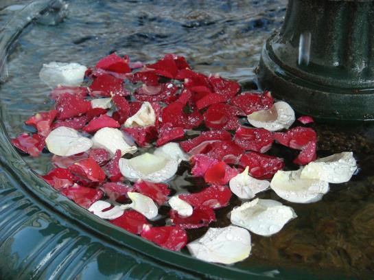 هتل Europa Royale Riga