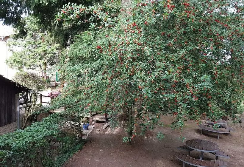 ホテル Hôtel Du Moulin De La Brevette