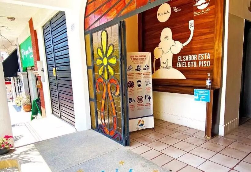 Отель Paloma Del Mar