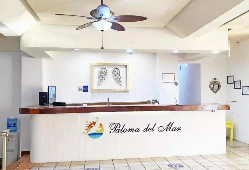 Отель Paloma Del Mar