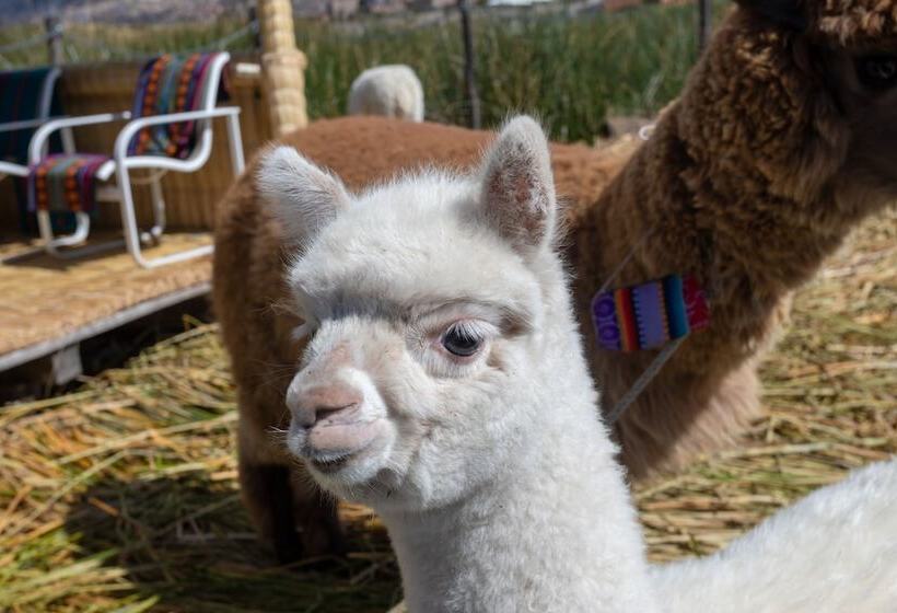 ホテル Sonesta Posadas Del Inca Puno