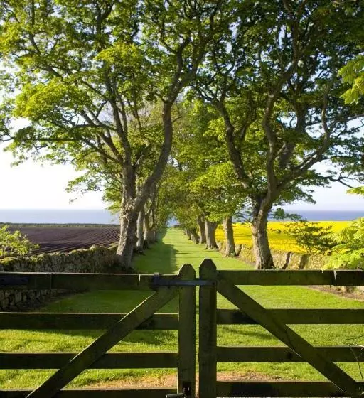 בית מלון כפרי The Glenmorangie House