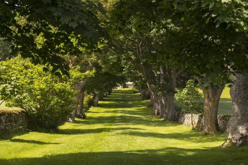 בית מלון כפרי The Glenmorangie House