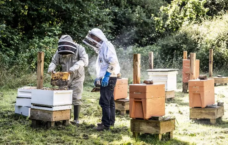 בית מלון כפרי The Glenmorangie House