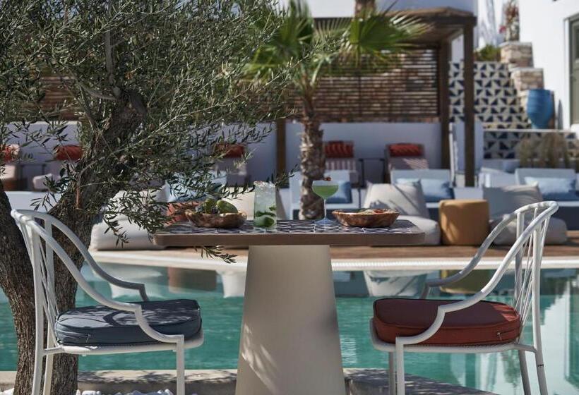 בית מלון כפרי Andronis Minois