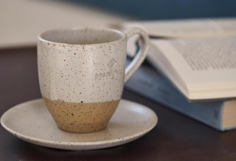 בית מלון כפרי Andronis Minois