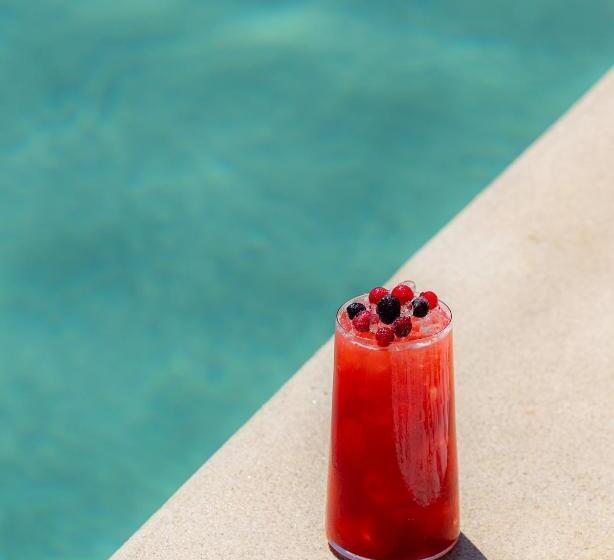 בית מלון כפרי Andronis Minois