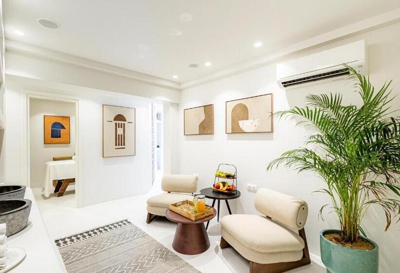 בית מלון כפרי Andronis Minois