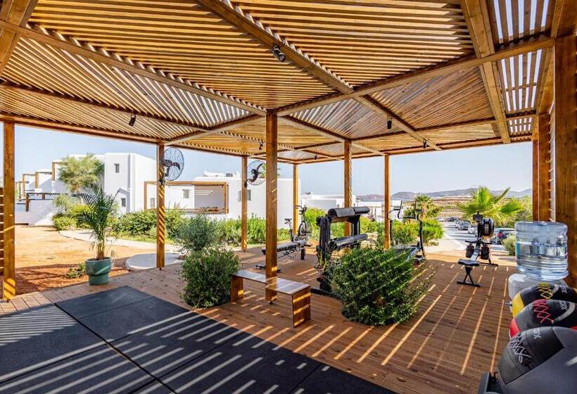 בית מלון כפרי Andronis Minois