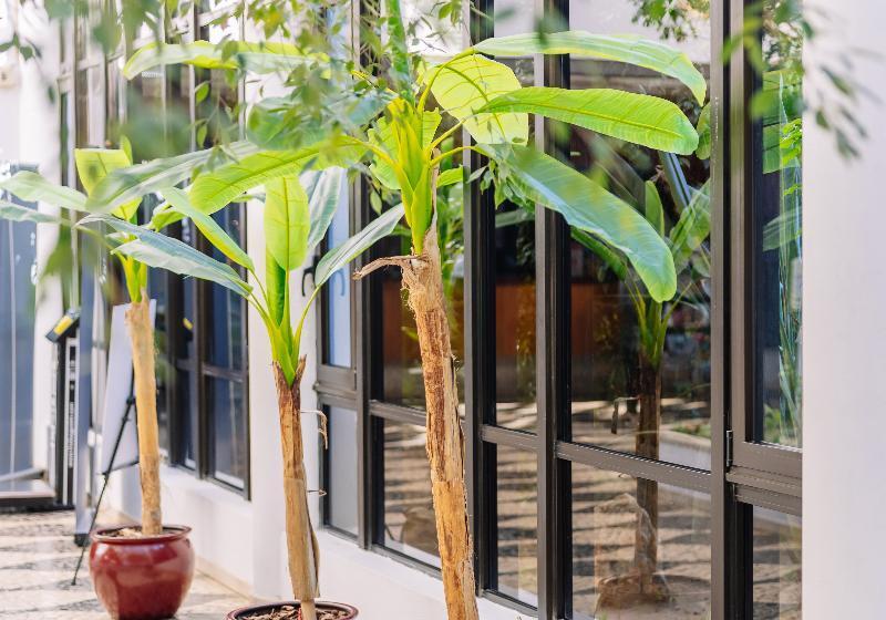 Hotelli Muthu Oura Praia