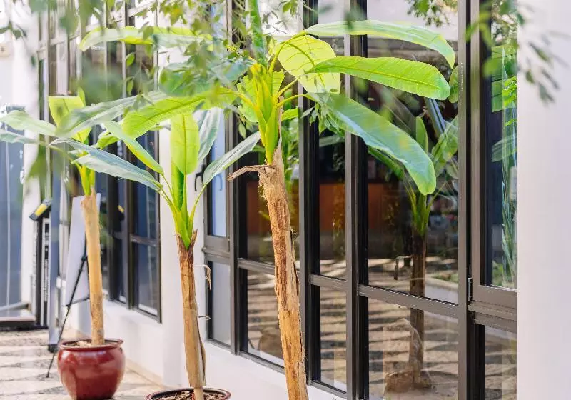 בית מלון כפרי Muthu Oura Praia