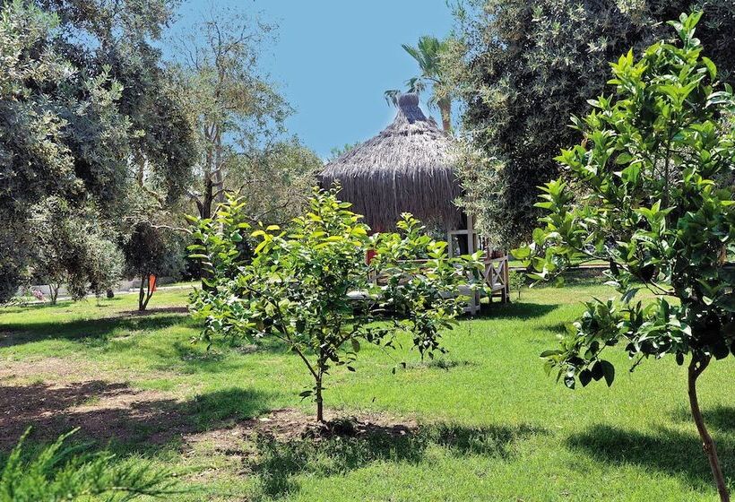 M.c Mahberi Beach Hotel – All Inclusive