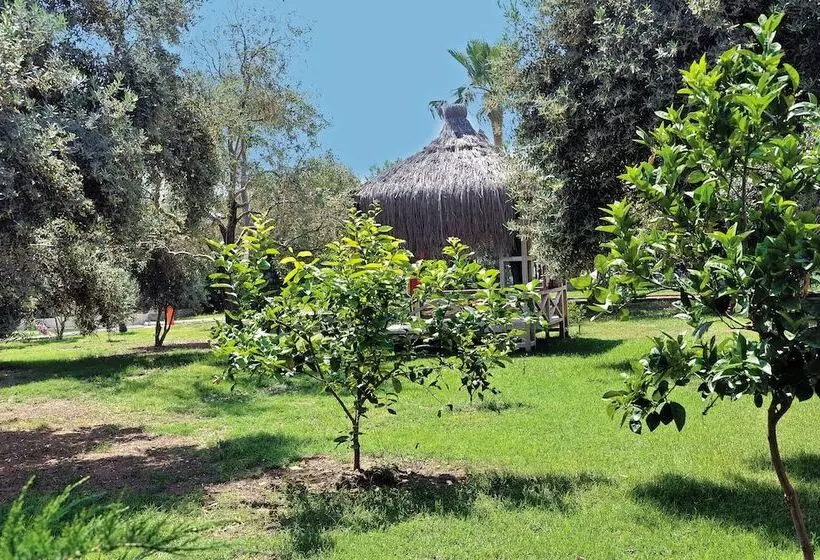 M.c Mahberi Beach Hotel – All Inclusive