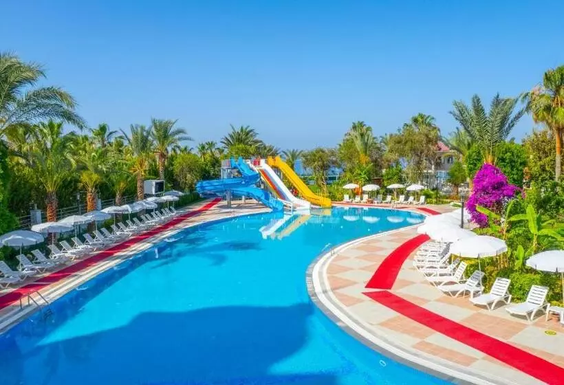 Отель Stella Beach   All Inclusive