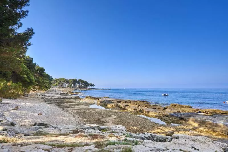 בית מלון כפרי Apartments Savudrija Plava Laguna