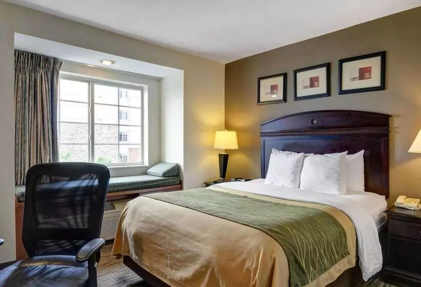 בית מלון כפרי Spark By Hilton Sterling Dulles Airport