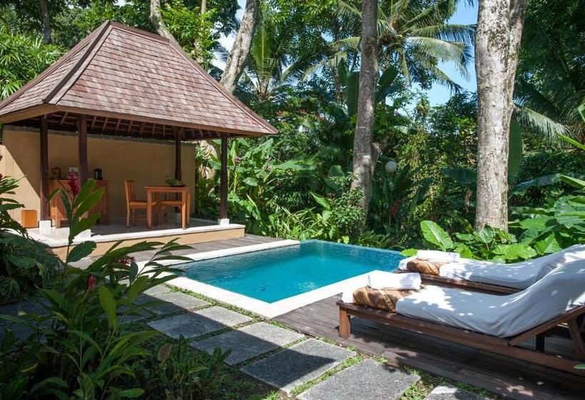 酒店 Komaneka At Monkey Forest Ubud