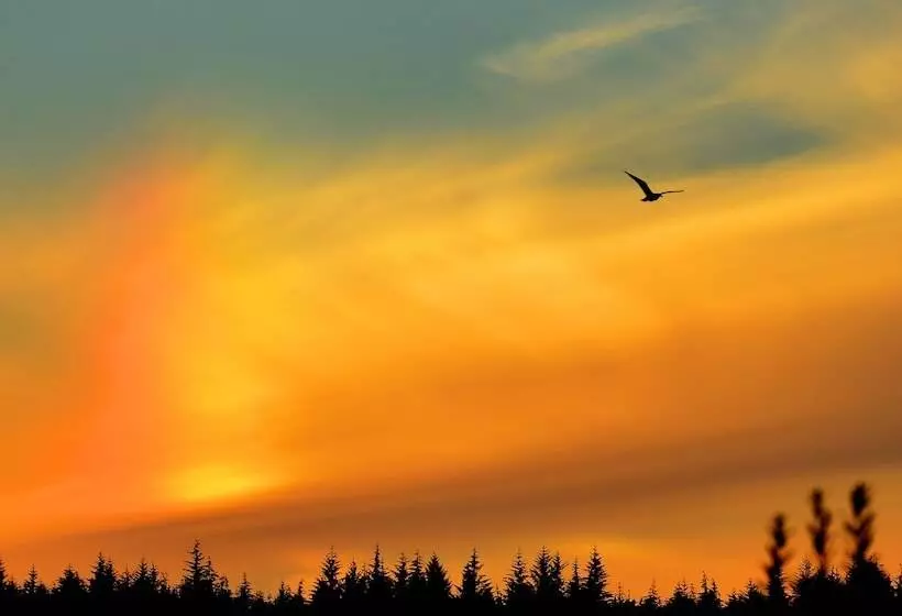 هتل Pioneer Inn By The River