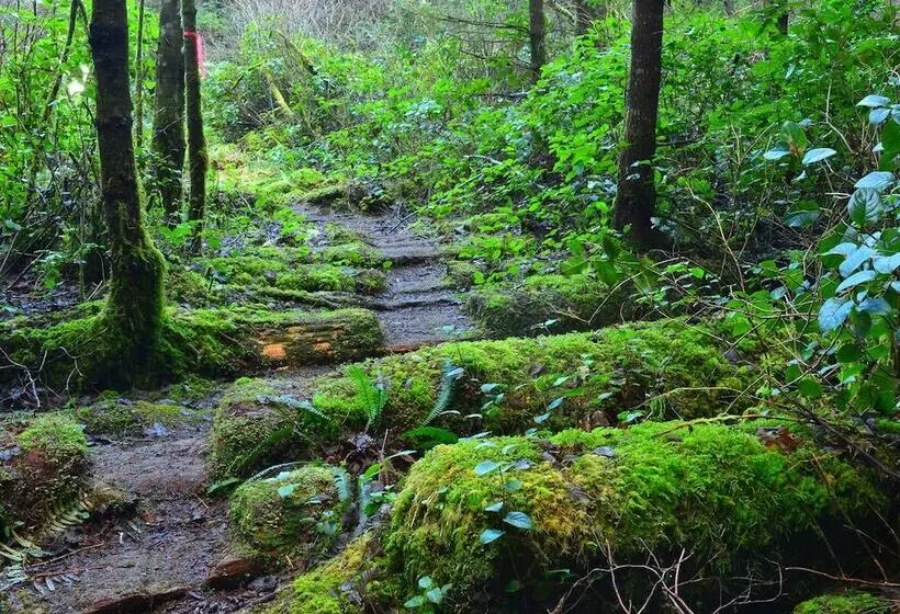 هتل Pioneer Inn By The River