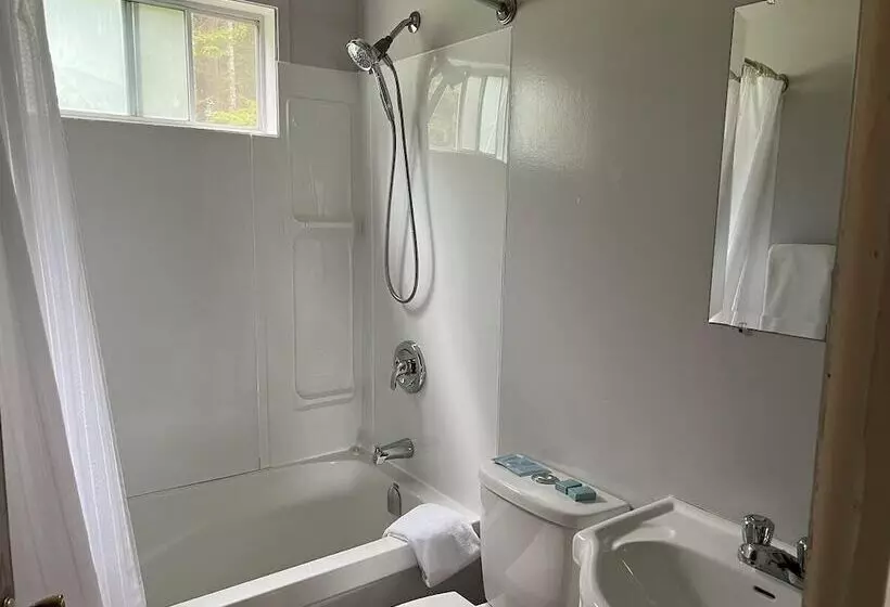 هتل Pioneer Inn By The River