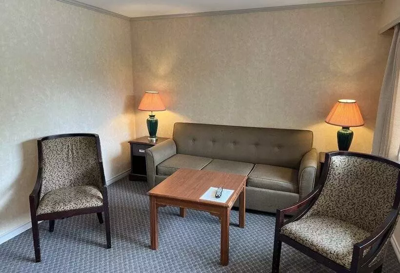 هتل Pioneer Inn By The River