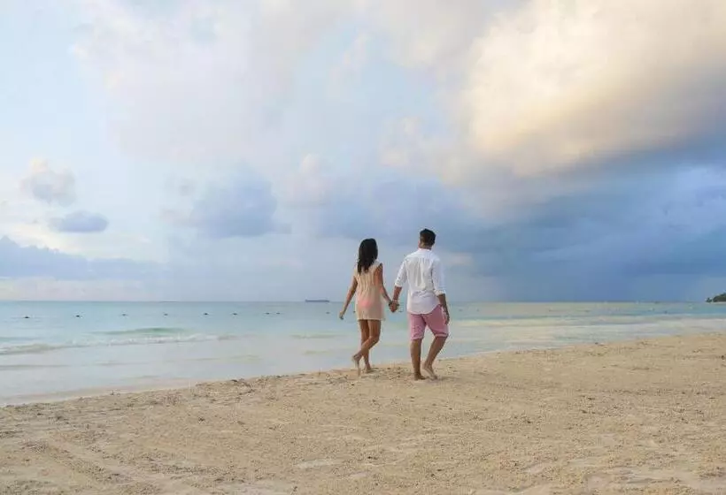 Отель Catalonia Playa Maroma - All Inclusive