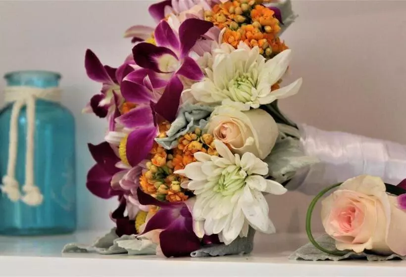 Отель Catalonia Playa Maroma - All Inclusive