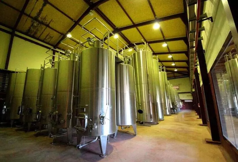 Отель Chateau Vinasoro