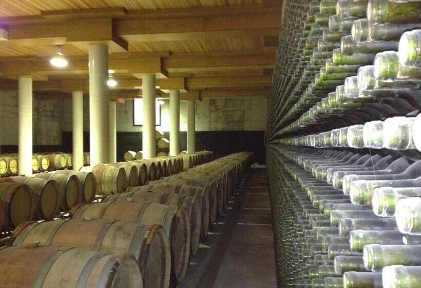 酒店 Chateau Vinasoro